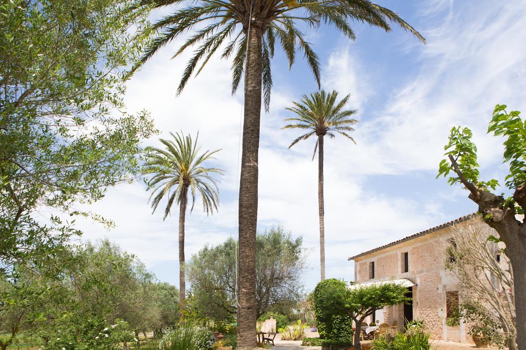 Agroturismo Es Pla De Llodra Manacor  Eksteriør billede